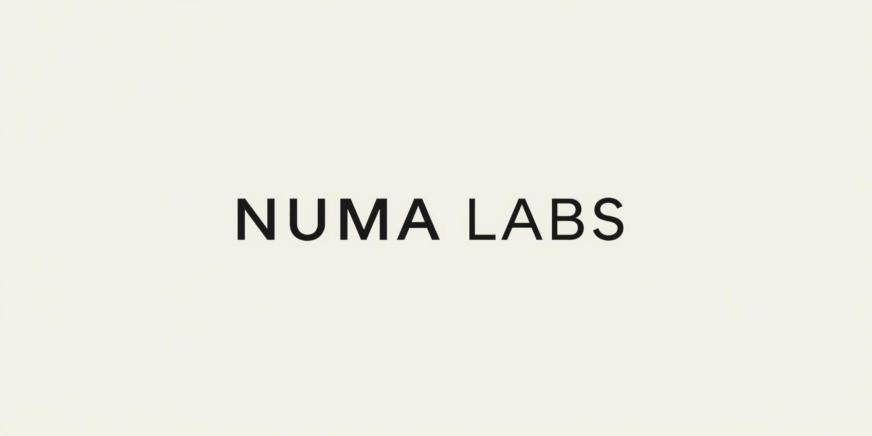 Numa Labs Logo